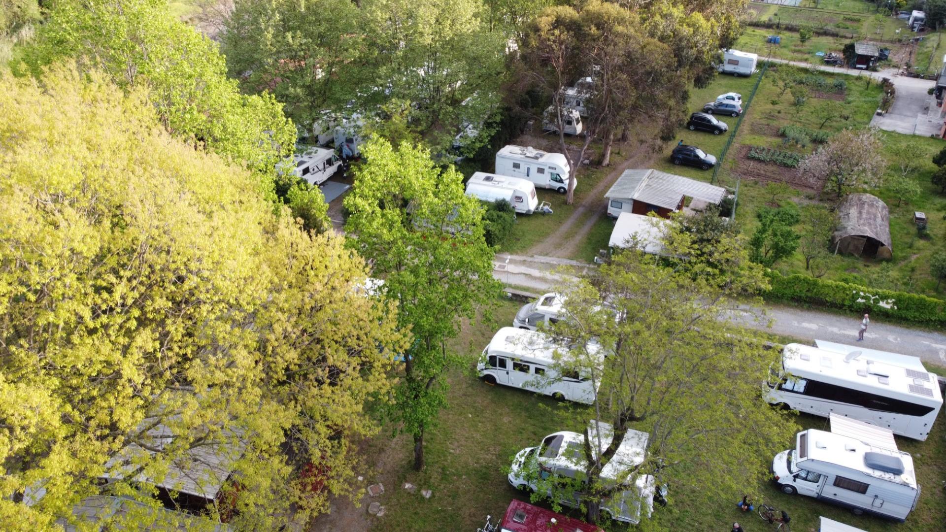 Campers parked among trees in a campsite with green areas.