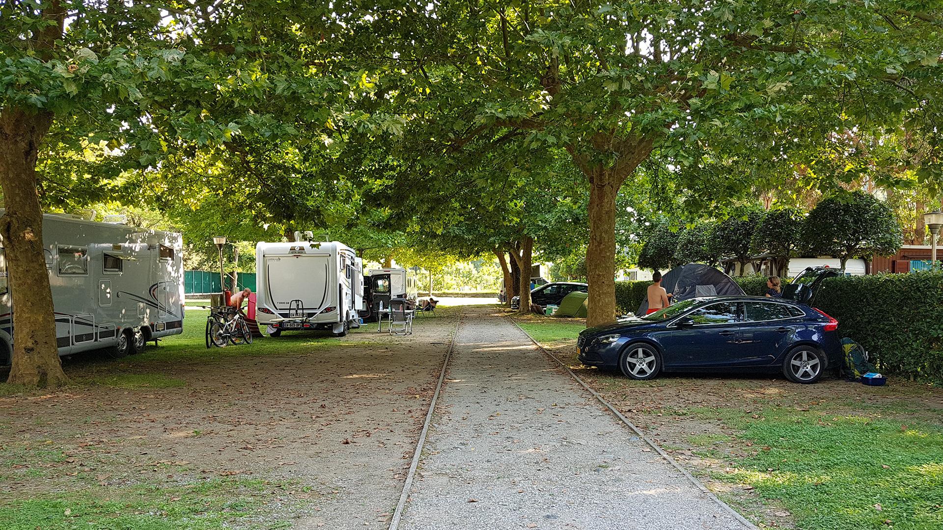 Campeggio con camper, auto e tende sotto alberi ombrosi.