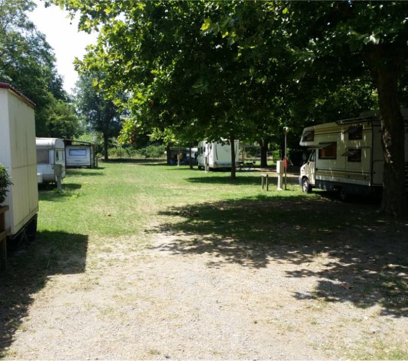 Camping avec camping-cars et caravanes, entouré d'arbres verts.